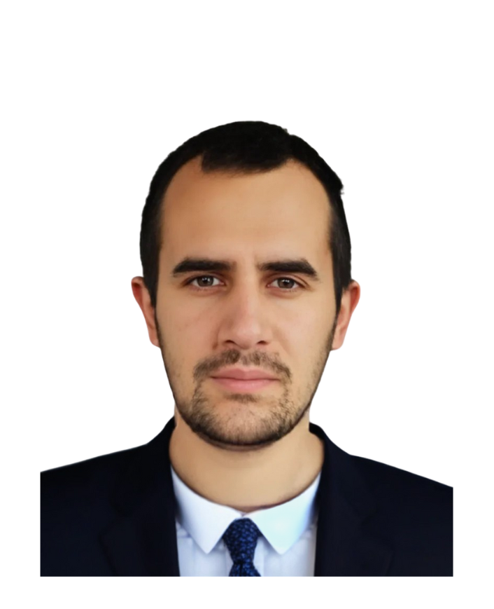 Sergej Hajdin
